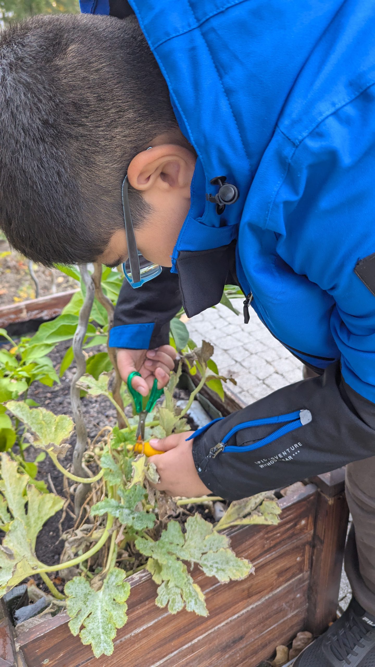 PXL_20251001_061041576