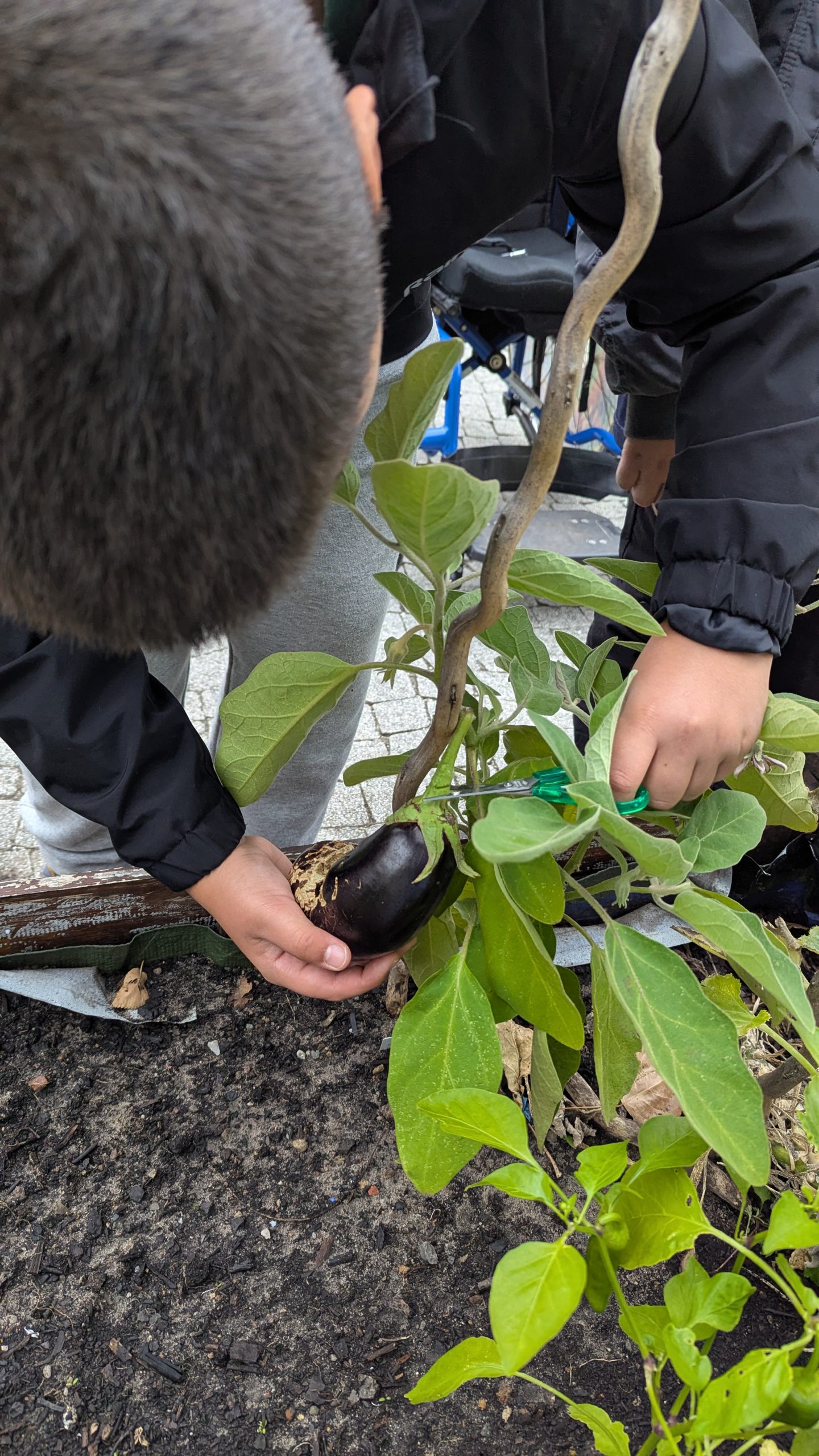 PXL_20251001_061128763