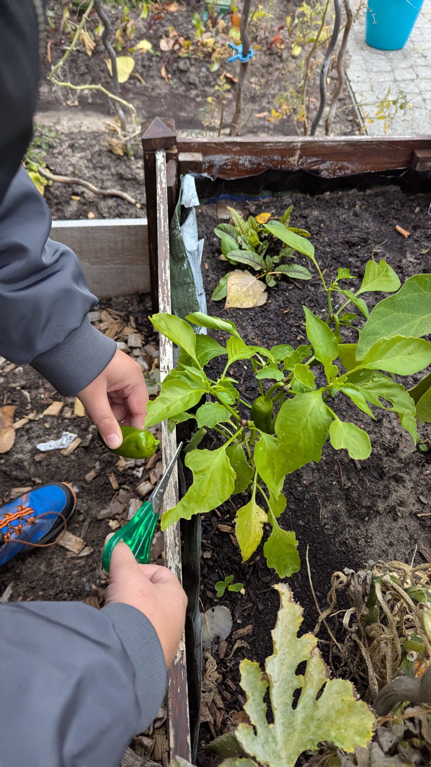 PXL_20251001_061253676