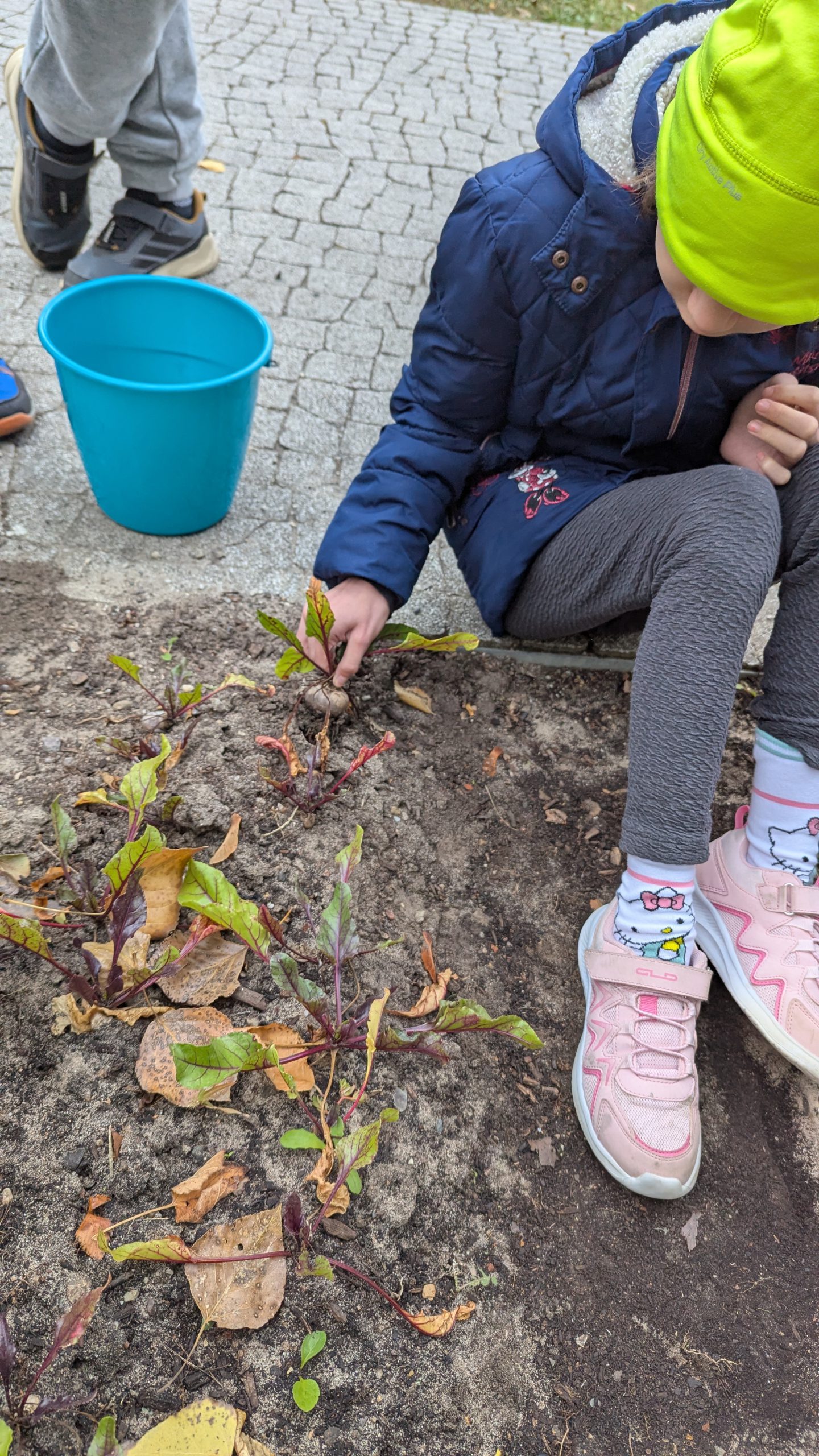 PXL_20251001_061418498