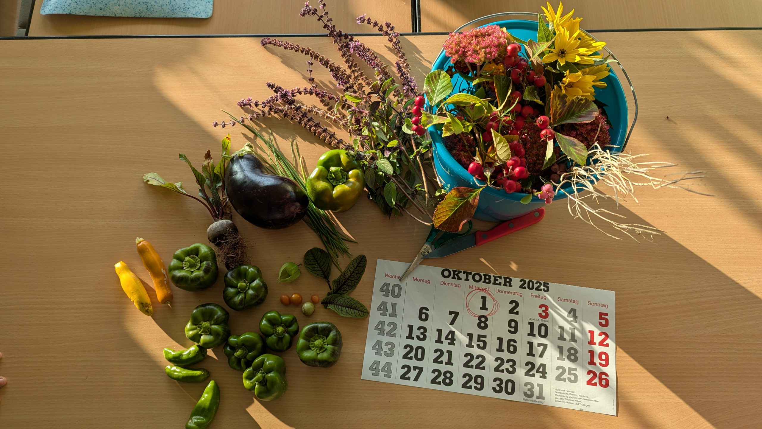 PXL_20251001_063403325