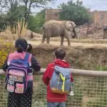 Tierpark 2