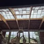 Tierpark 3